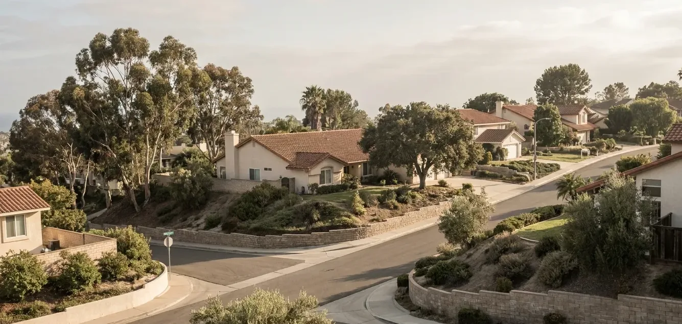 Established hillside houses on generous, deeply planted lots Established hillside houses on generous, deeply planted lots